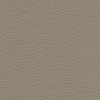 Leather Lambada 9717 Fungi