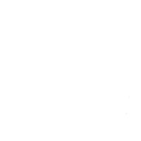 Leather Linea 601 Bianco