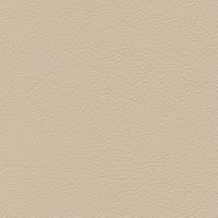 Leather Linea 629 Stone