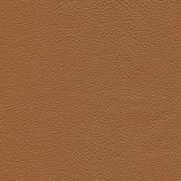 Leather Linea 607 Nocciola