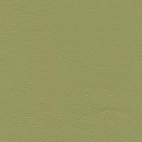 Leather Linea 631 Green