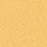 Leather Prescott EU 221 Lion