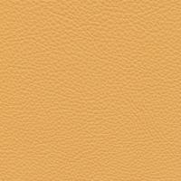 Leather Prescott EU 222 Cinnemon