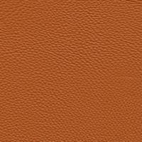 Leather Prescott SA 223 Swamp