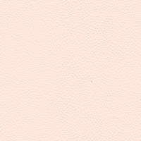 Leather Prescott EU 237 Pill