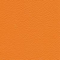 Leather Prescott EU 246 Claw