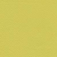 Leather Prescott EU 294 Lime