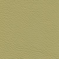 Leather Prescott EU 255 Terragon