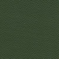 Leather Prescott EU 258 Birch