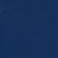 Leather Prescott EU 291 Oceania