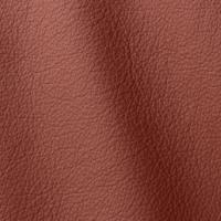 Leather Ocean 435 Allium