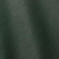 Leather Ocean 425 Green