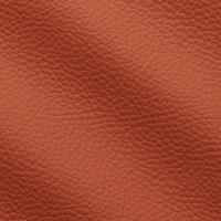 Leather Atlantic 536 Coral
