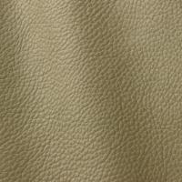 Leather Atlantic 546 Olive