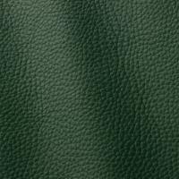Leather Atlantic 520 Verde