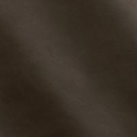 Leather Aida 1610 Spruce