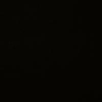 Awning fabric Docril 00039 Black, 120cm