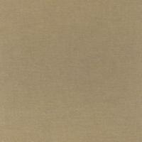 Fabric Asgard A59 Bright green