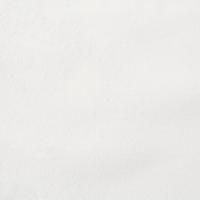 Curtain Roma Velvet FR 60 Ivory, 300cm