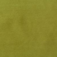 Curtain Roma Velvet FR 49 Goosberry, 300cm