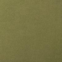 Curtain Forli Black-Out FR 055 Grass, 300cm