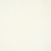 Artificial leather Seawall 019 Eggshell