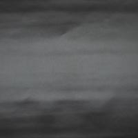 Artificial leather Star Satin Zero/Black