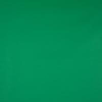 Artificial leather Amalfi 019251 Pinie