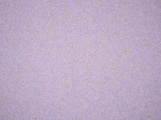 Stoff Coco 9592 Lavender Stoff Coco 9592 Lavender