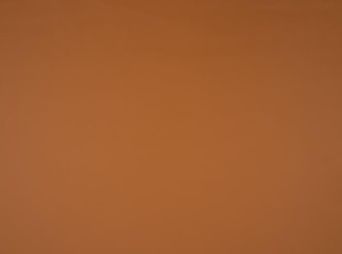 Kunstleder Illusion 3.0 44184 Buckskin Kunstleder Illusion 3.0 44184 Buckskin