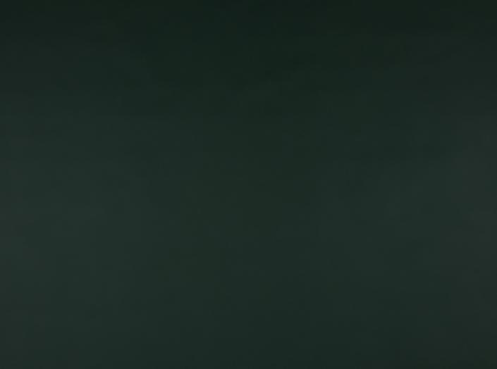 Kunstleder Illusion 3.0 77773 Dark green Kunstleder Illusion 3.0 77773 Dark green