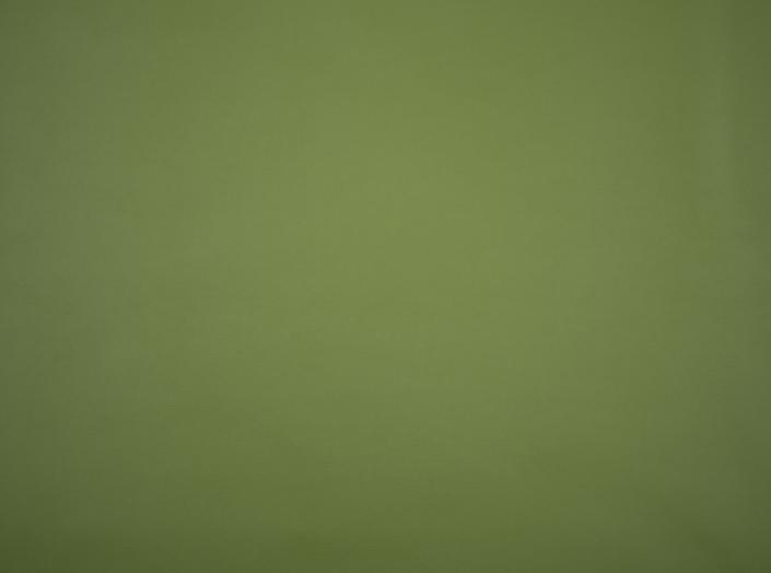 Kunstleder Illusion 3.0 73677 Cedar green Kunstleder Illusion 3.0 73677 Cedar green