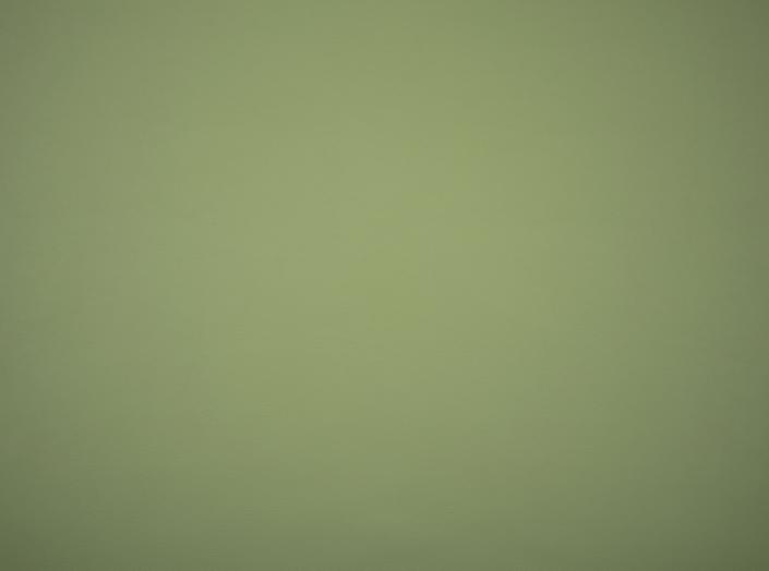 Kunstleder Illusion 3.0 71220 Sage Kunstleder Illusion 3.0 71220 Sage