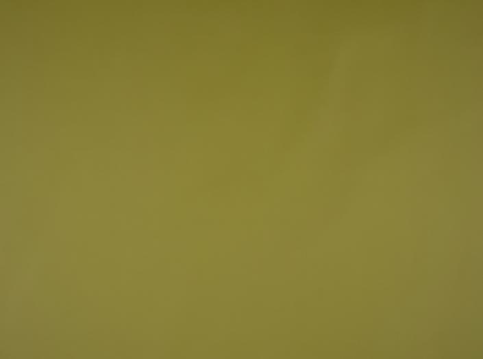 Kunstleder Illusion 3.0 76236 Green Kunstleder Illusion 3.0 76236 Green