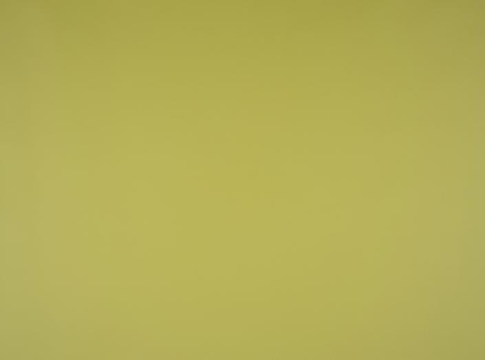 Kunstleder Illusion 3.0 74007 Linden green Kunstleder Illusion 3.0 74007 Linden green