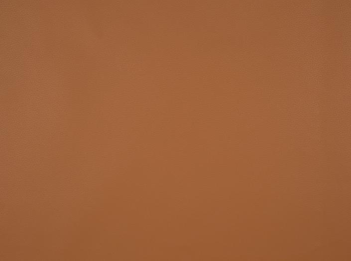 Artificial leather Fjord 34 Camel Artificial leather Fjord 34 Camel