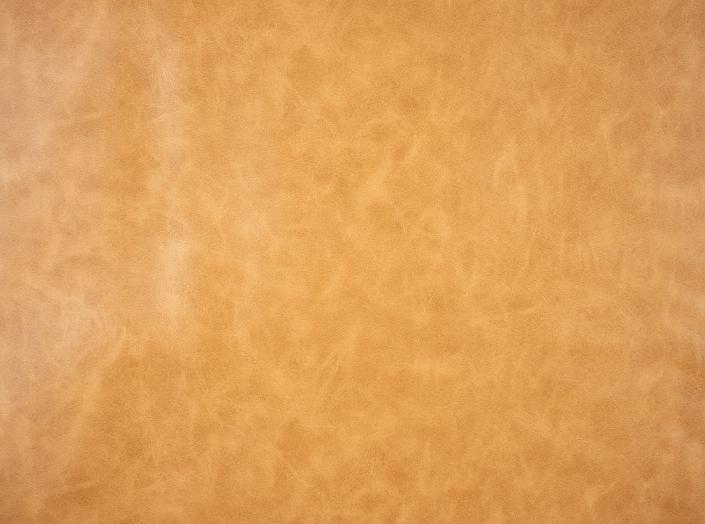 Artificial leather Fjord Vintage 31 Cognac Artificial leather Fjord Vintage 31 Cognac